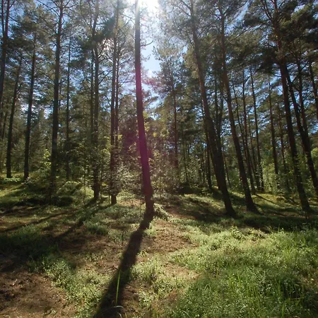 M&k Przystan Swibno Daire Gdansk