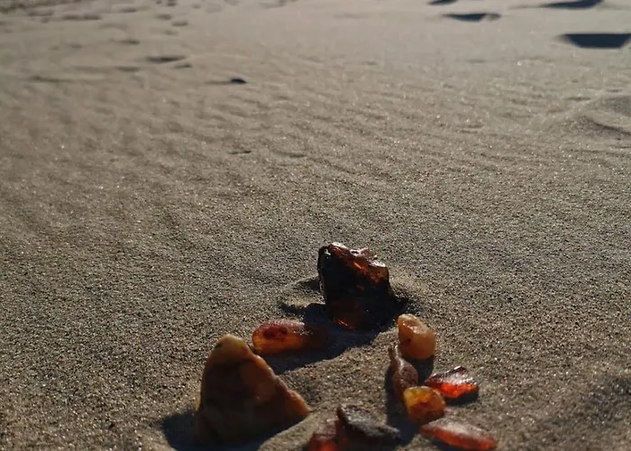 M&k Przystan Swibno Daire Gdansk