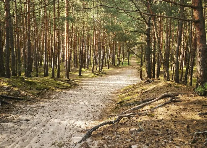 Apartment M&k Przystan Swibno *