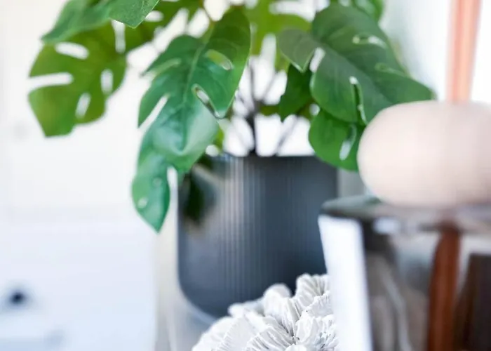 M&k Przystan Swibno Apartment *